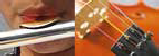wp74f917ab.png